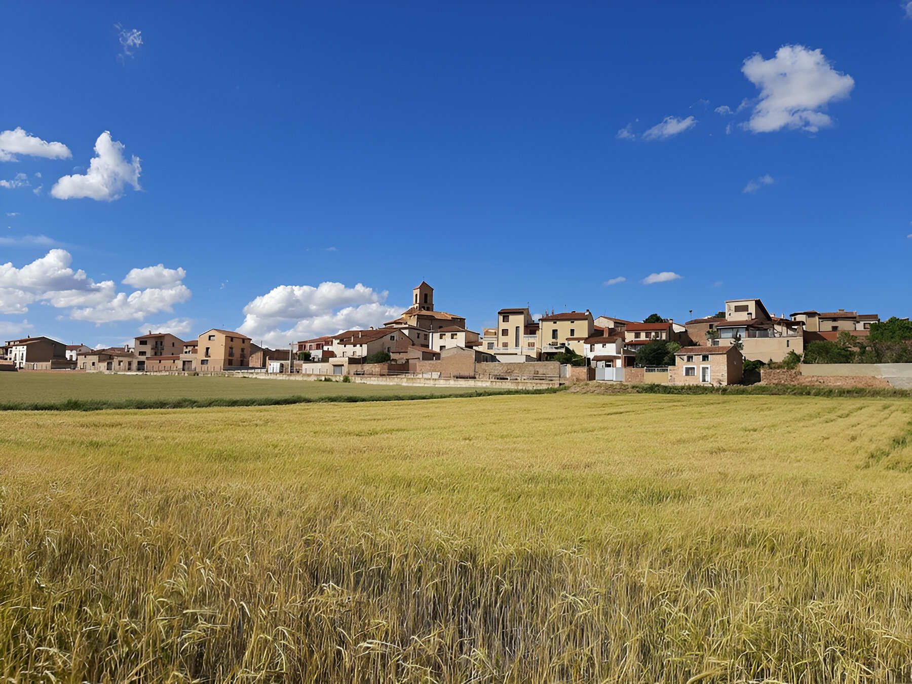 Plan General de Ordenación Urbana de Gallocanta 10